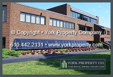 Painting metal is the only cost effective alternative when the metal is beyond repair. Painting brings back the gloss, color and sheen to the storefront metal window frames.